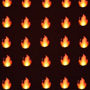 Meet your Posher, Paige